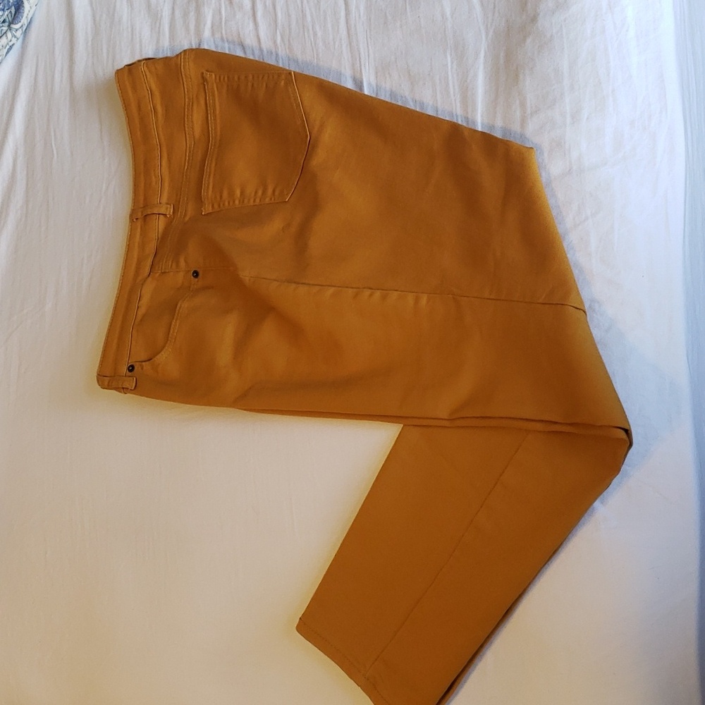 Westport Signature Fit 14W Skinny Jean